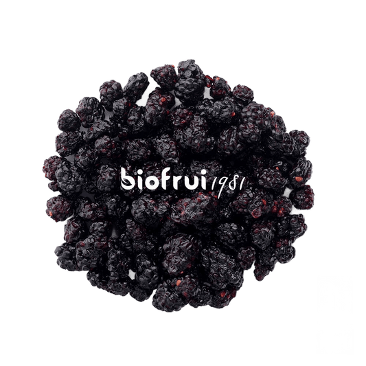 Dried Wild Blackberries from the Dinaric Alps - Só Verde