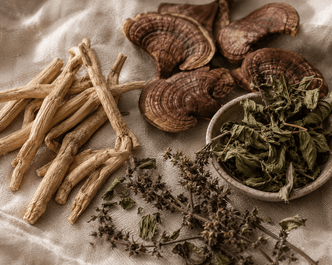 The Quiet Power of Adaptogens: Why Ancient Herbs Belong in Your Modern Routine - Só Verde