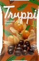 Biografia de Choco Ball Phisalis