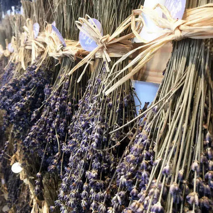 French Blue Lavender Bouquet (80g) [Large Quantity]