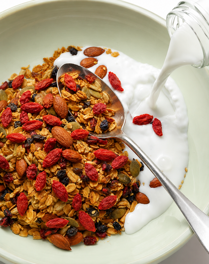Goji Berry desidratado biológico 100g