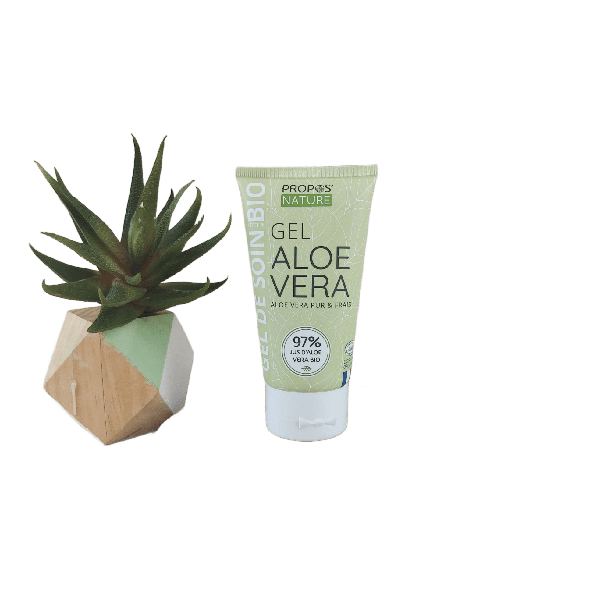 Aloe Vera Gel - Fresh Fillet Juice - Só Verde