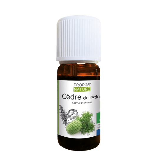 Atlas Cedarwood Essential Oil - Só Verde