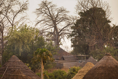 Baobab Oil - Só Verde