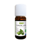 Bay Laurel Essential Oil - Só Verde