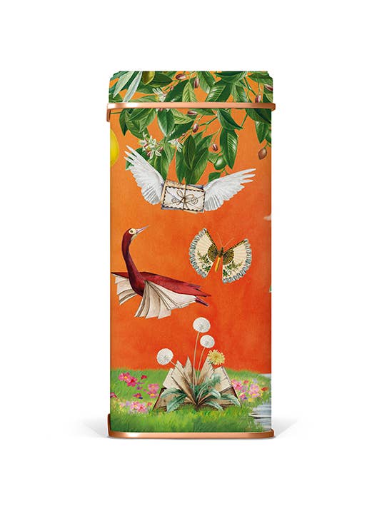 Biscoitos sortidos em lata de oferta