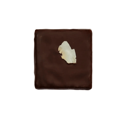 Coconut Nut Butter Chocolate - Só Verde