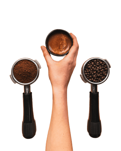 Coffee Dark Grain - Só Verde