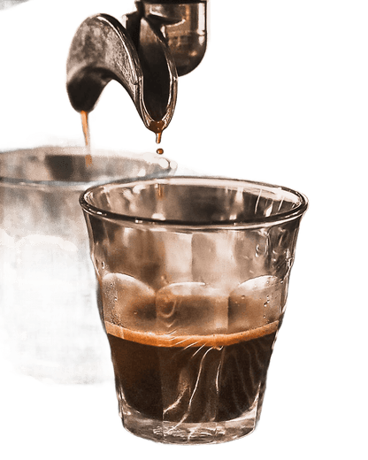 Coffee Intense Bean - Só Verde