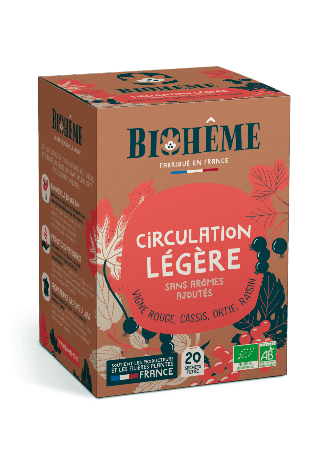 Light Circulation Infusion