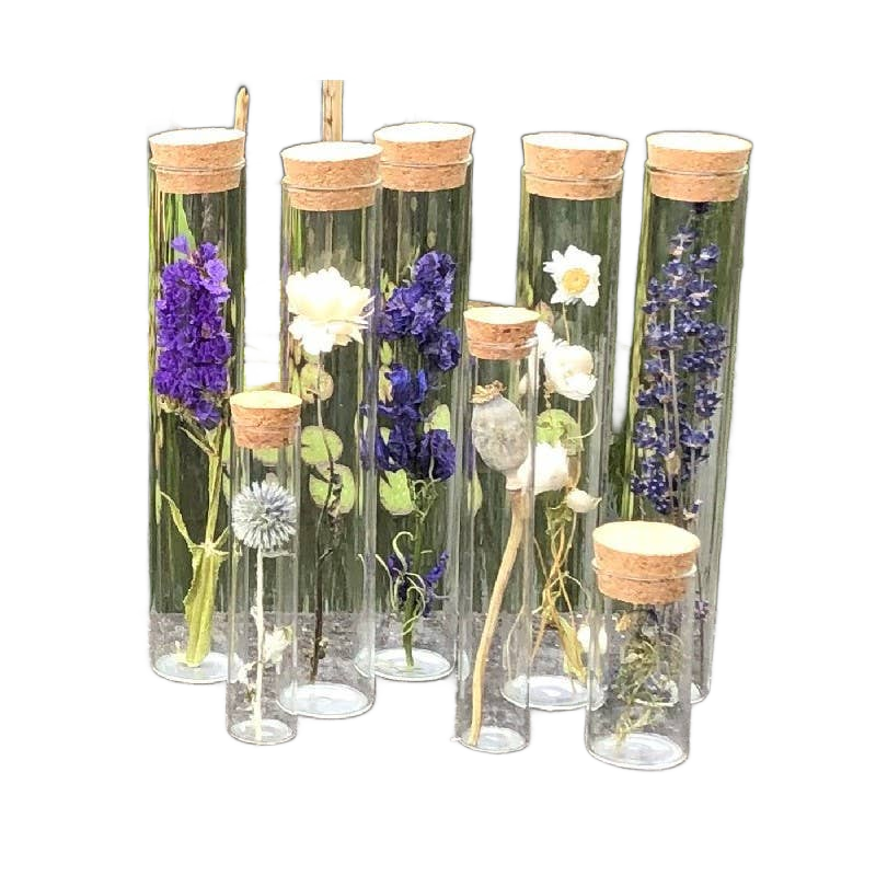 Dried Flower Gift Tube - Só Verde