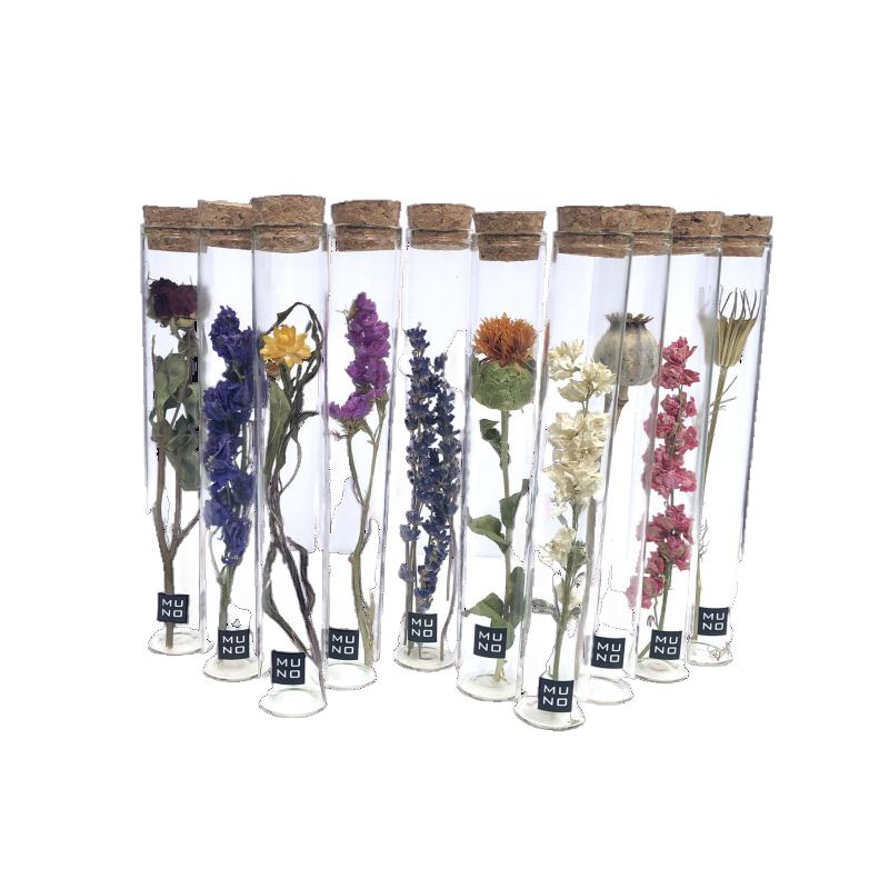 Dried Flower Gift Tube - Só Verde