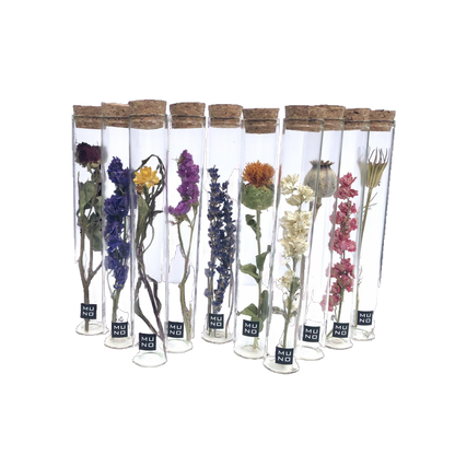 Dried Flower Gift Tube - Só Verde