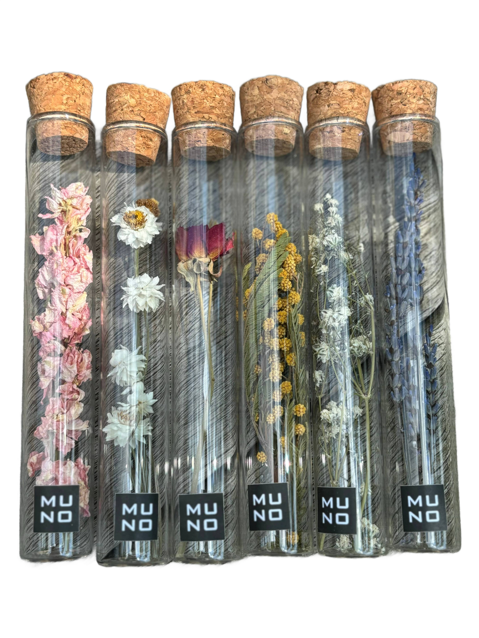 Dried Flower Gift Tube - Só Verde