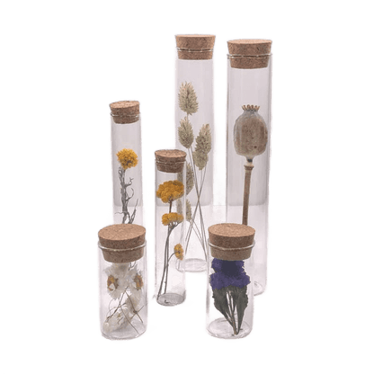 Dried Flower Gift Tube - Só Verde