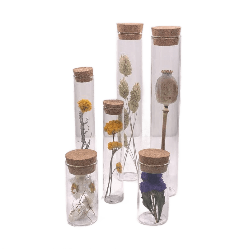 Dried Flower Gift Tube - Só Verde