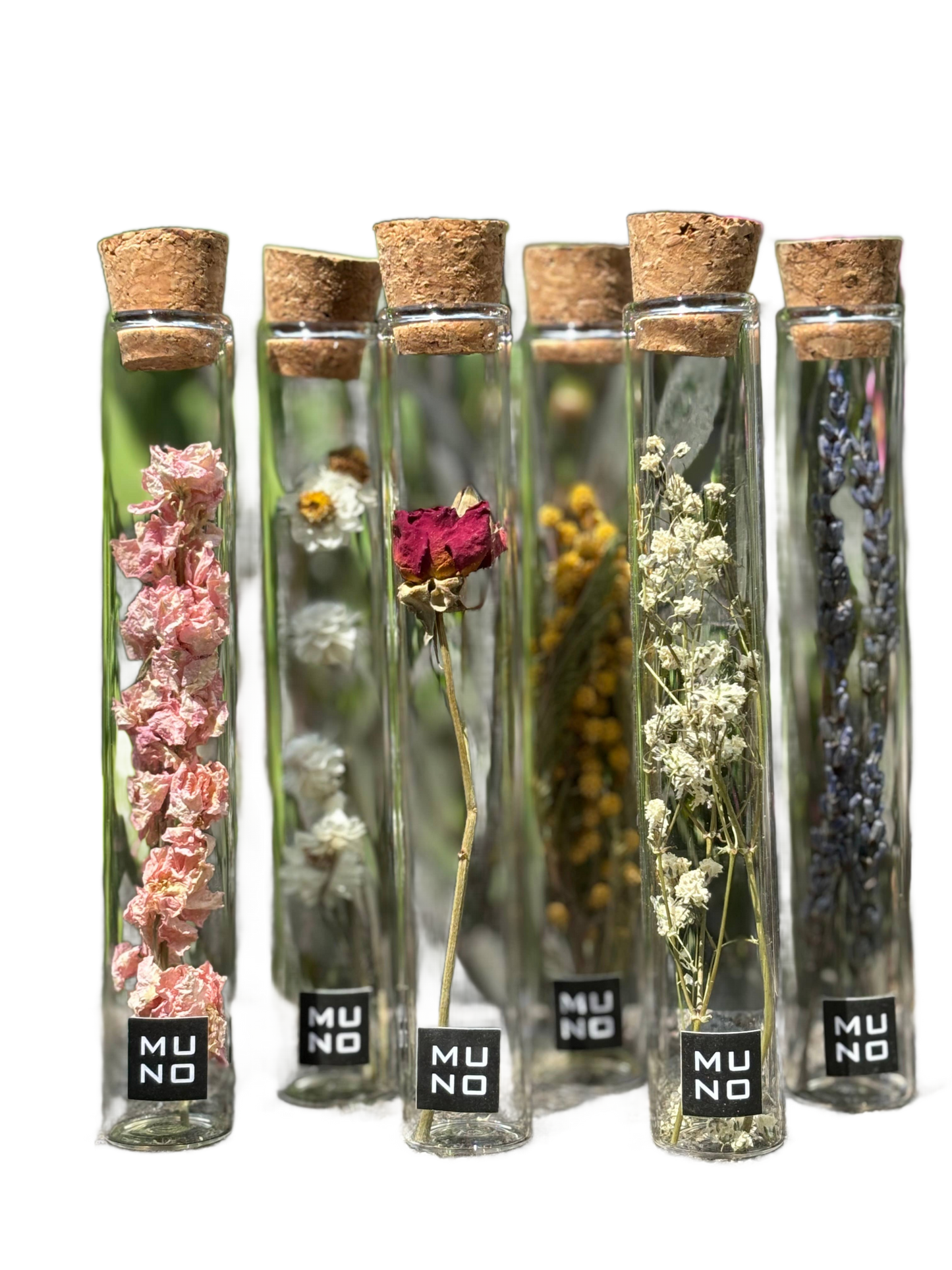 Dried Flower Gift Tube - Só Verde