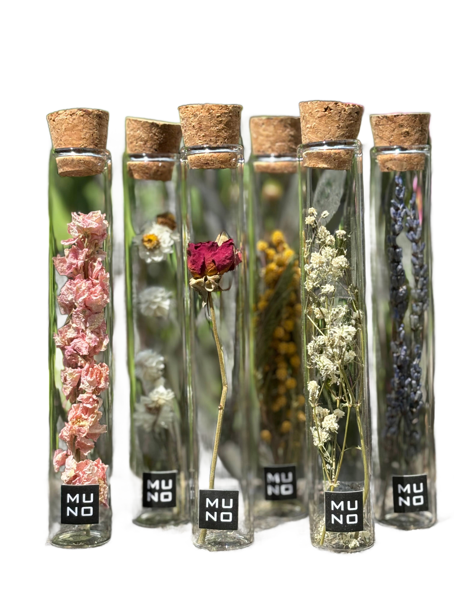 Dried Flower Gift Tube - Só Verde