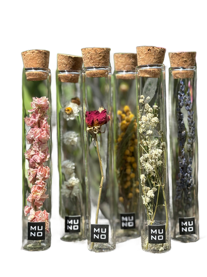 Dried Flower Gift Tube - Só Verde