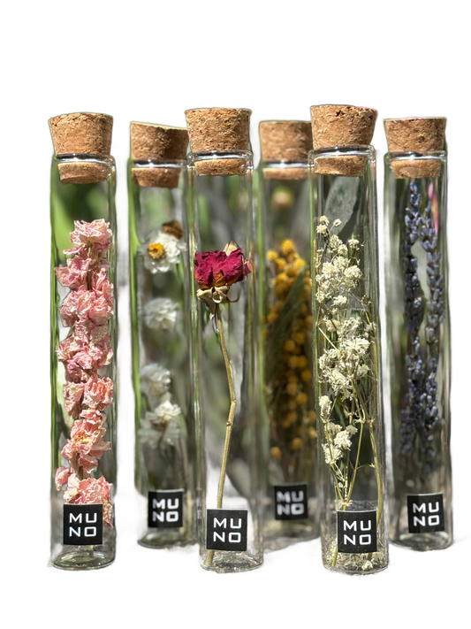 Dried Flower Gift Tube - Só Verde