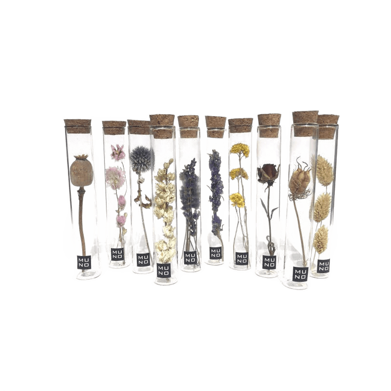 Dried Flower Gift Tube - Só Verde