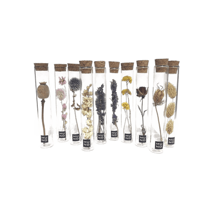 Dried Flower Gift Tube - Só Verde