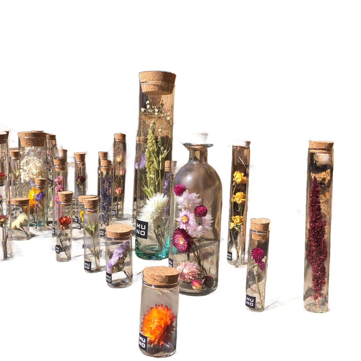 Dried Flower Gift Tube - Só Verde