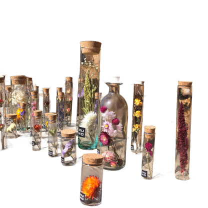 Dried Flower Gift Tube - Só Verde