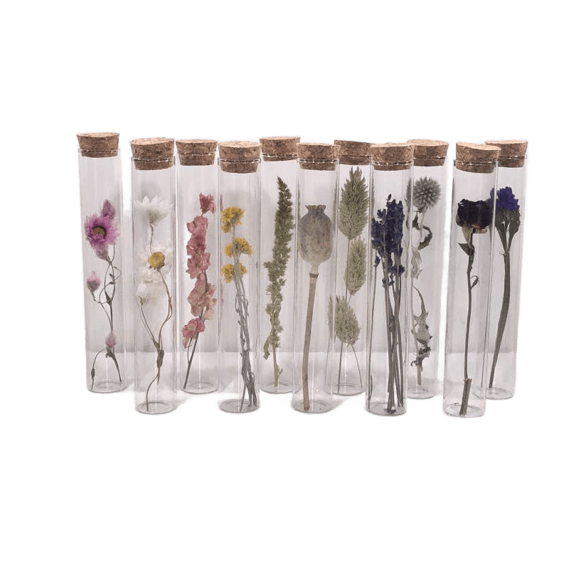 Dried Flower Gift Tube - Só Verde