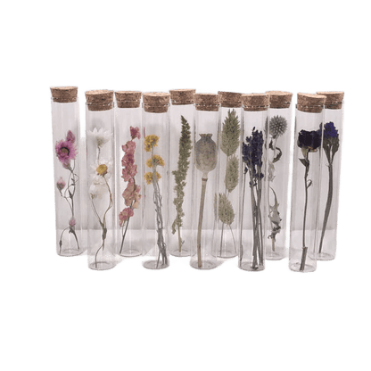 Dried Flower Gift Tube - Só Verde