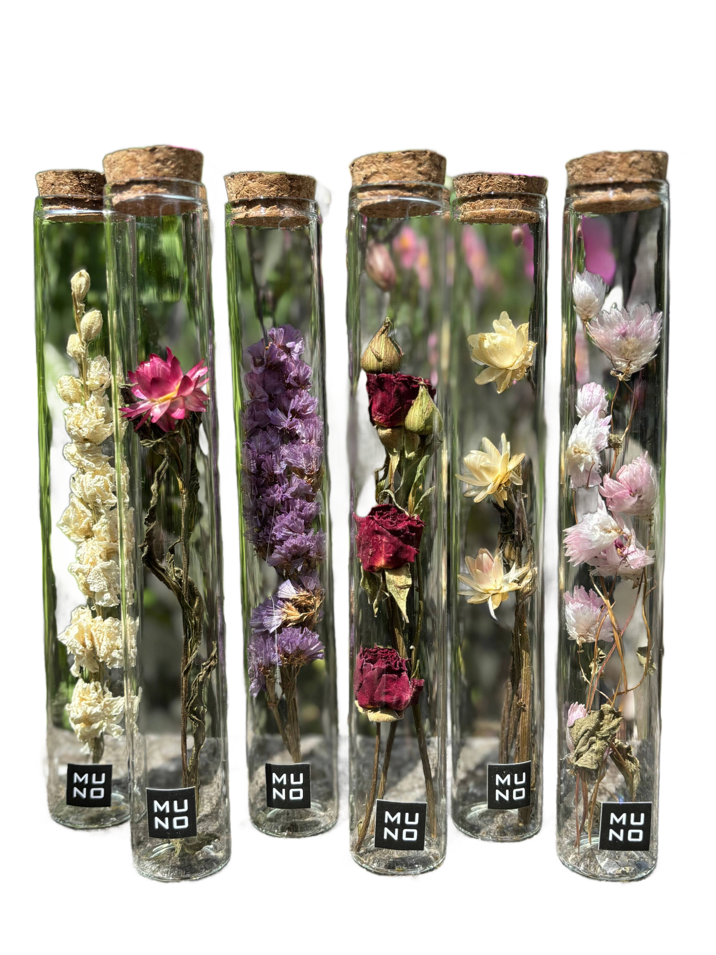 Dried Flower Gift Tube - Só Verde
