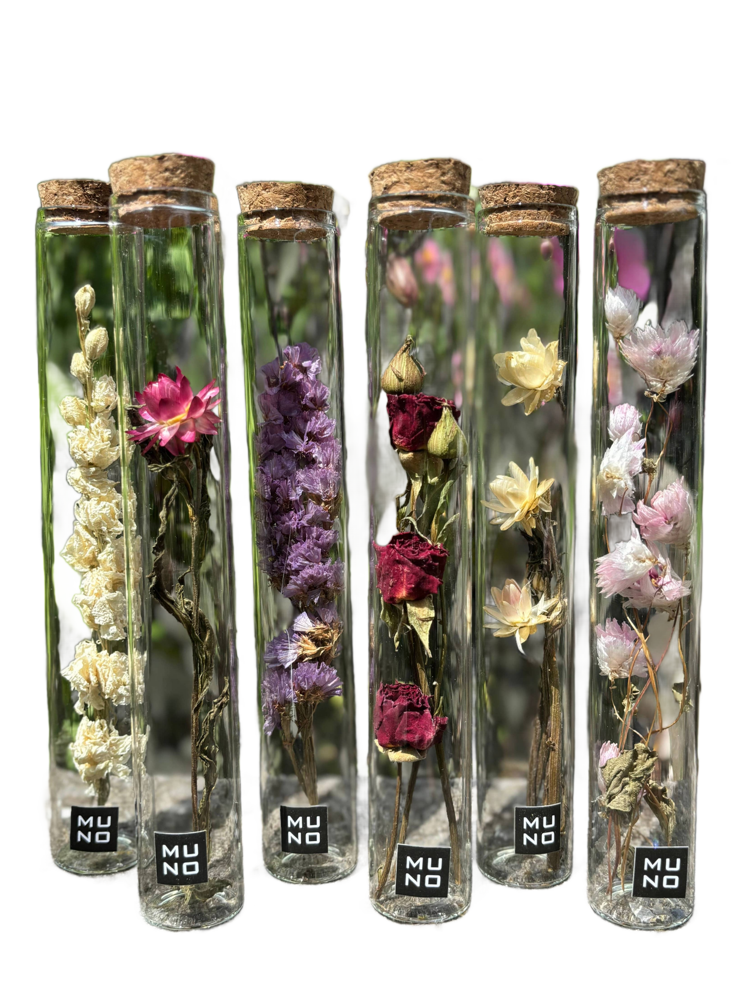 Dried Flower Gift Tube - Só Verde