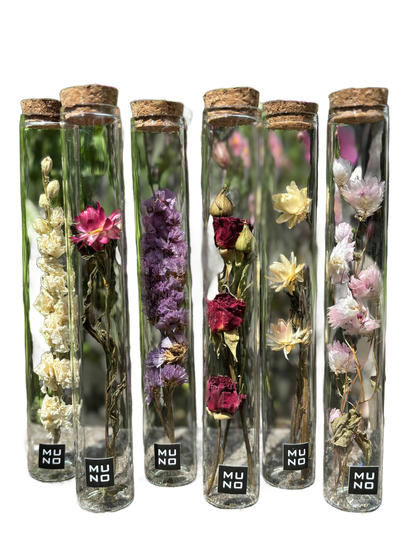 Dried Flower Gift Tube - Só Verde