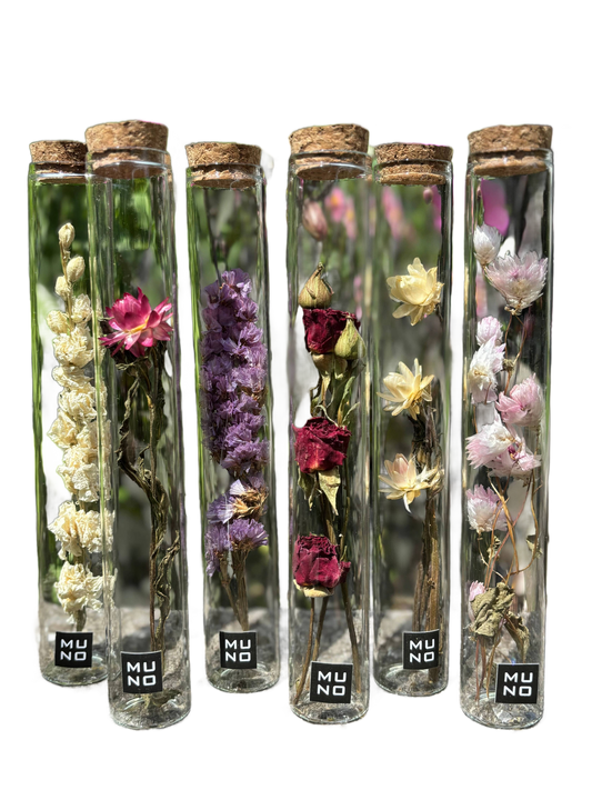 Dried Flower Gift Tube - Só Verde