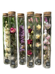 Dried Flower Gift Tube - Só Verde