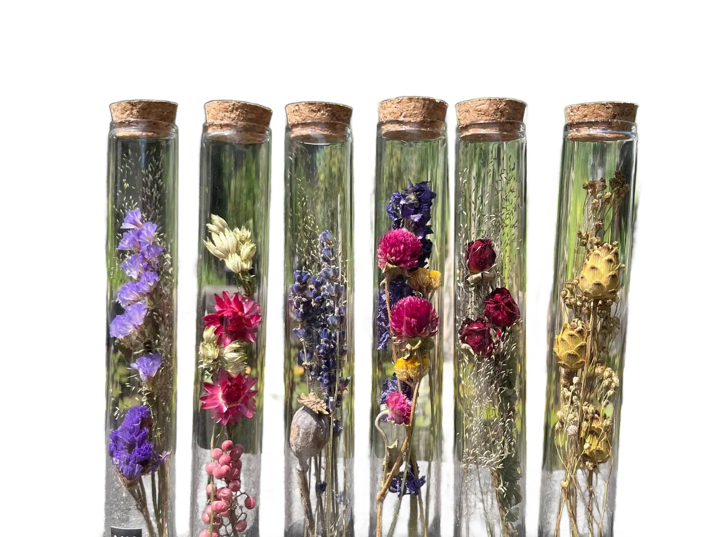Dried Flower Gift Tube - Só Verde