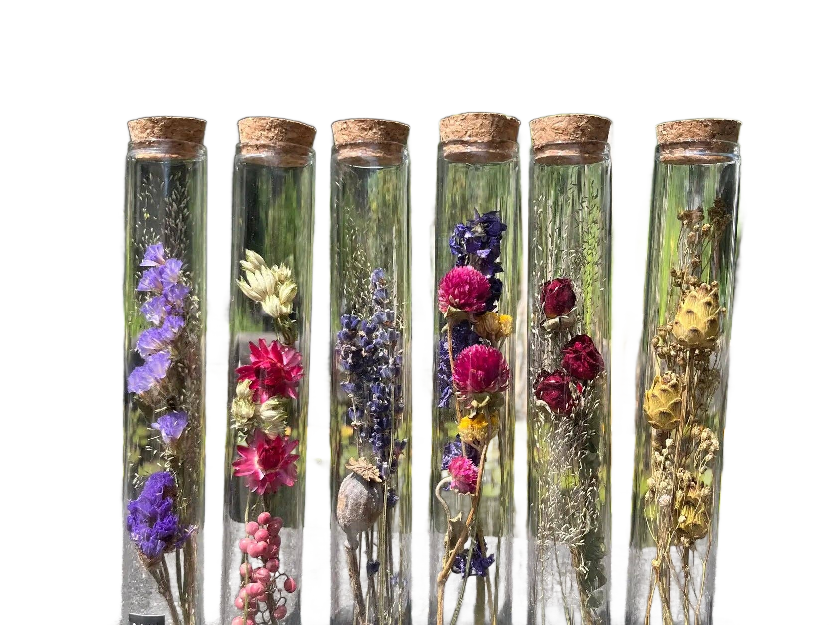 Dried Flower Gift Tube - Só Verde