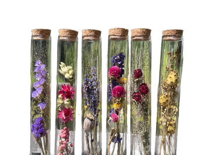 Dried Flower Gift Tube - Só Verde