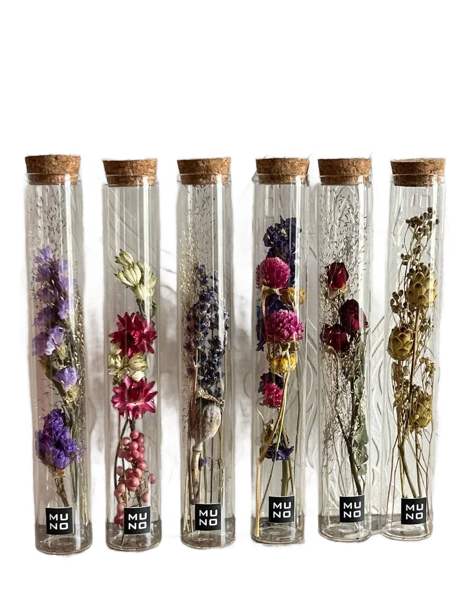 Dried Flower Gift Tube - Só Verde