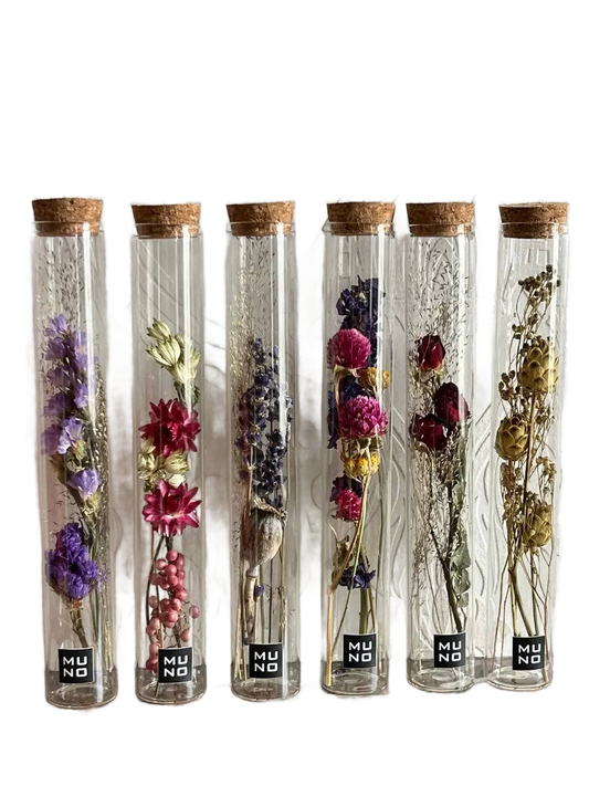 Dried Flower Gift Tube - Só Verde