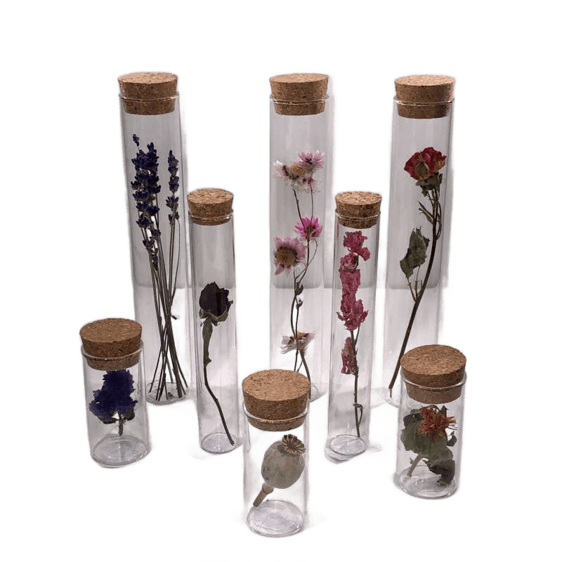 Dried Flower Gift Tube - Só Verde
