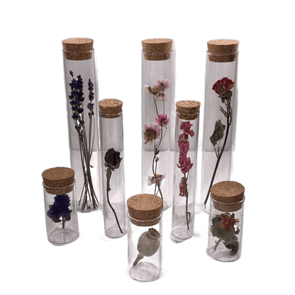 Dried Flower Gift Tube - Só Verde