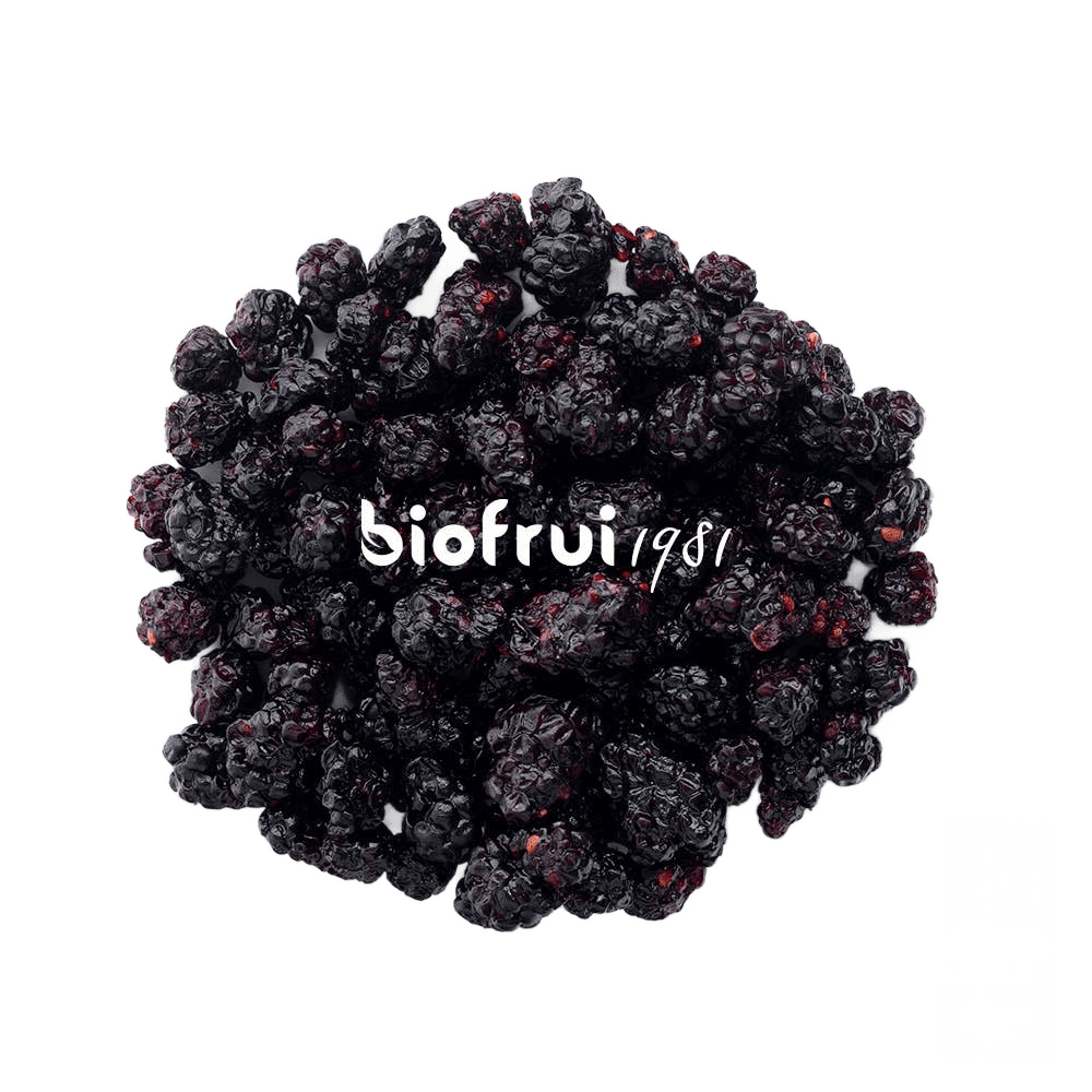 Dried Wild Blackberries from the Dinaric Alps - Só Verde