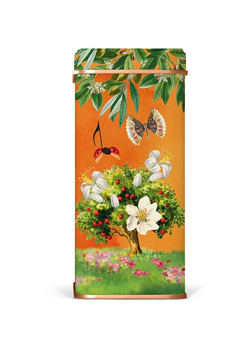 Biscoitos sortidos em lata de oferta