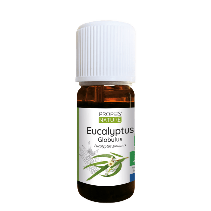 Eucalyptus Globulus Essential Oil - Só Verde