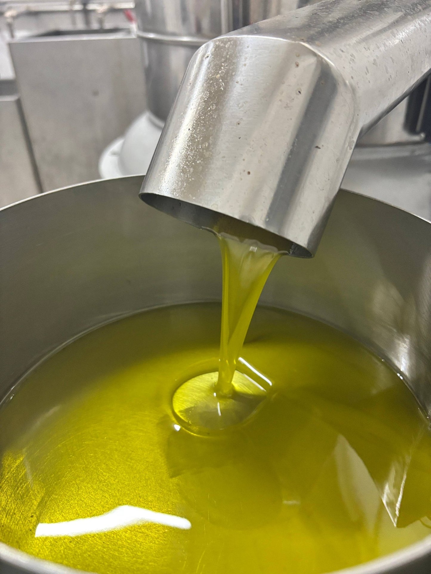 Extra Virgin Olive Oil - Portuguese "Galega" (olive variaty) - Só Verde