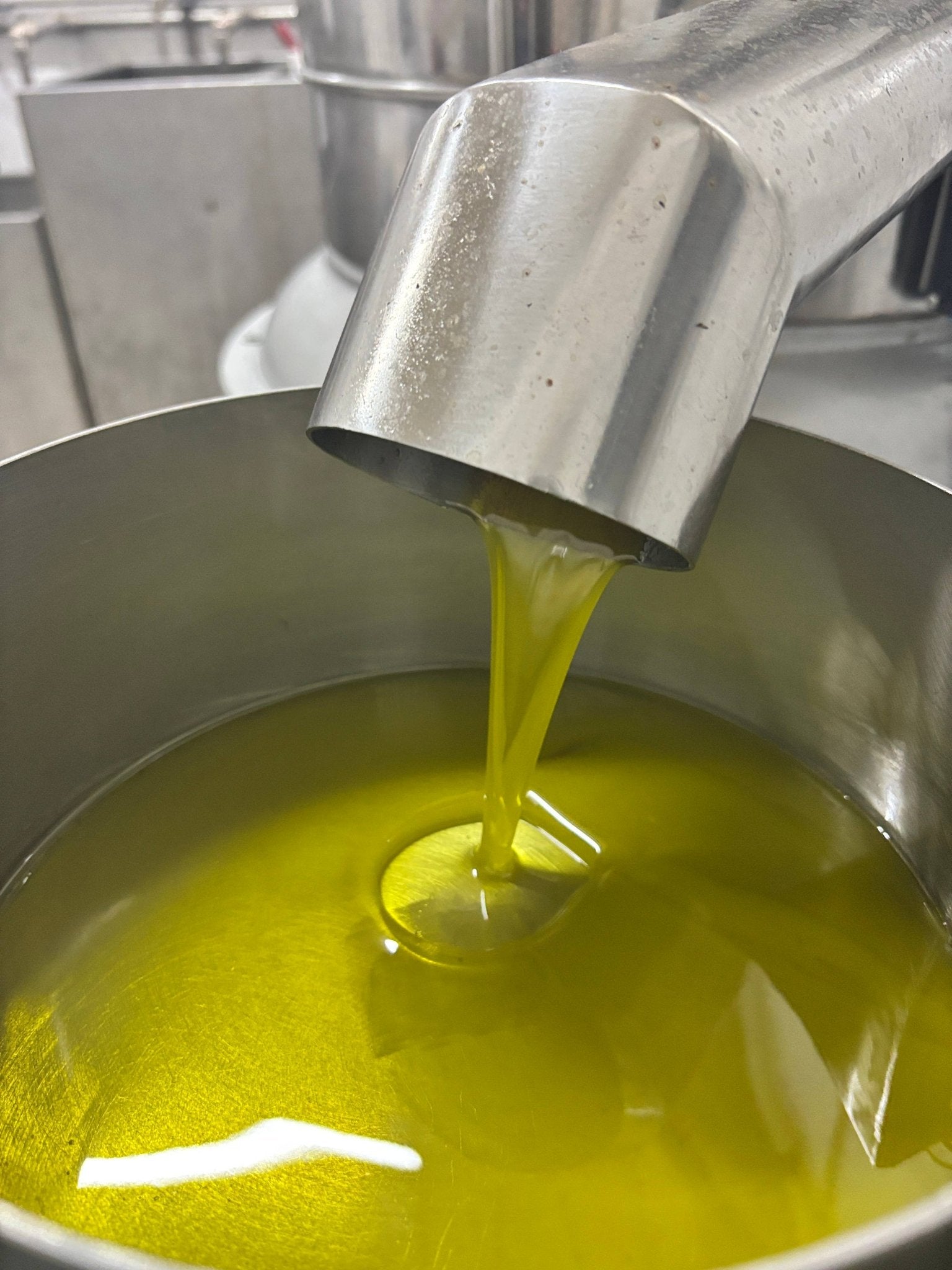 Extra Virgin Olive Oil - Portuguese "Galega" (olive variaty) - Só Verde