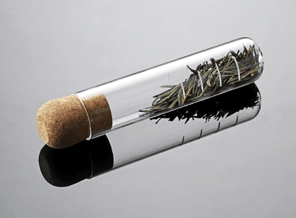 Glass Tube Tea Infuser - Só Verde
