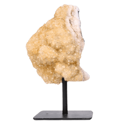 Heated Citrine Base - Só Verde