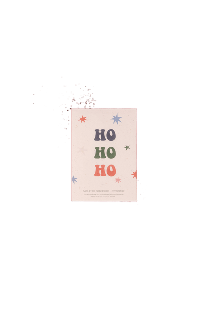Ho Ho Ho - Bag Of Gypsophila Seeds - Só Verde